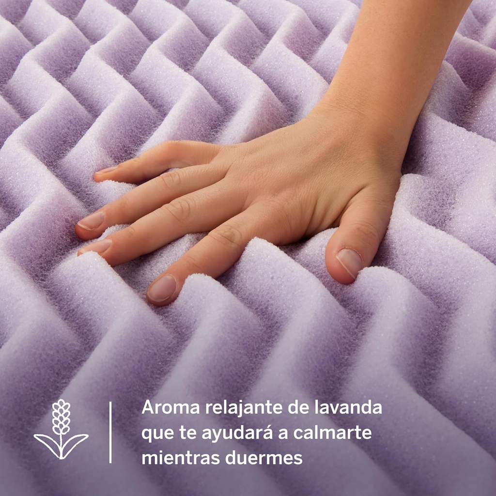 81XYw4IbWpL._AC_SL1500_.webp